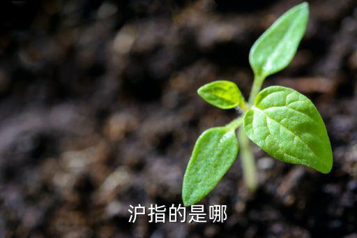 什么是滬指，滬指是什么意思