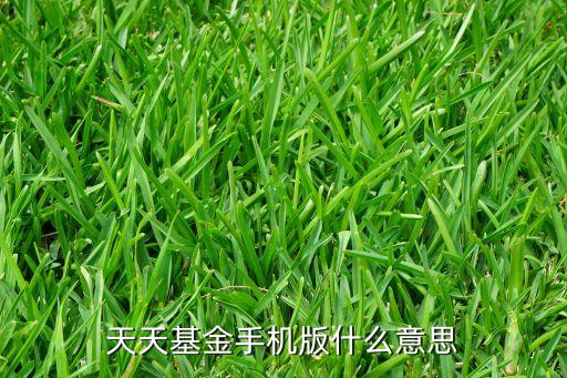 天天基金網(wǎng)是什么東西，天天基金的定期寶是什么東西