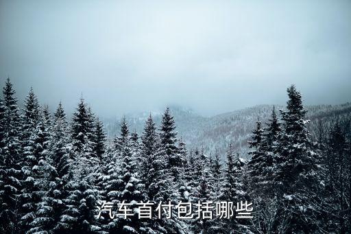 汽車(chē)首付包括哪些