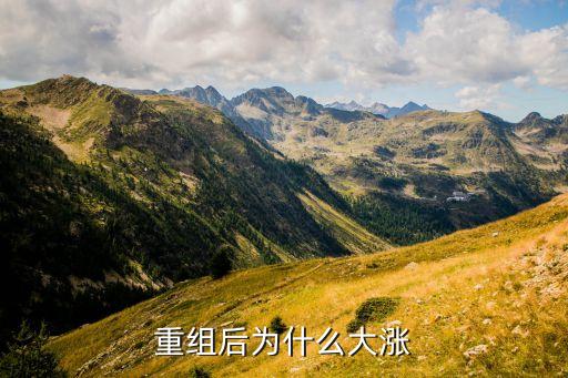 重組后為什么大漲