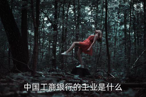 中國工商銀行的主業(yè)是什么