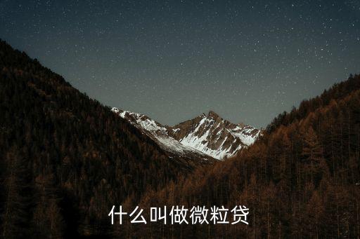 什么叫做微粒貸