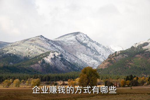 企業(yè)賺錢的方式有哪些