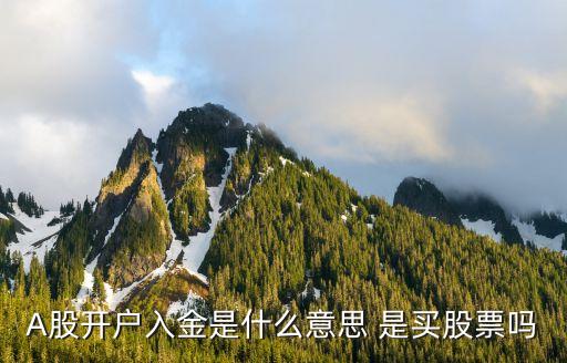 證券入金什么意思，A股開戶入金是什么意思 是買股票嗎