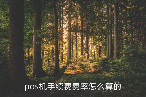 pos機(jī)怎么收手續(xù)費(fèi)，pos機(jī)刷卡手續(xù)費(fèi)怎么算
