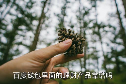 百度錢包是什么基金，百度錢包里面的理財(cái)產(chǎn)品靠譜嗎
