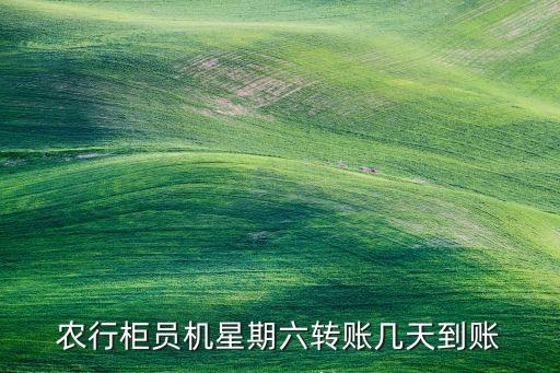 農(nóng)行柜員機(jī)星期六轉(zhuǎn)賬幾天到賬