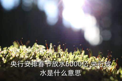 央行安排春節(jié)放水6000億 央行放水是什么意思