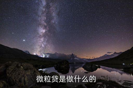 微粒貸是做什么的