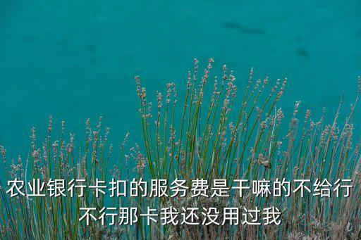農(nóng)行扣繳服務(wù)費(fèi)是什么意思，農(nóng)業(yè)銀行網(wǎng)上銀行帳服費(fèi)是什么意思啊