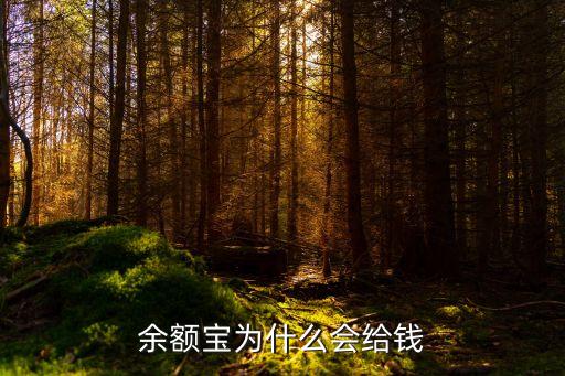 余額寶為什么會出現(xiàn)，余額寶上的錢是怎么產(chǎn)生的