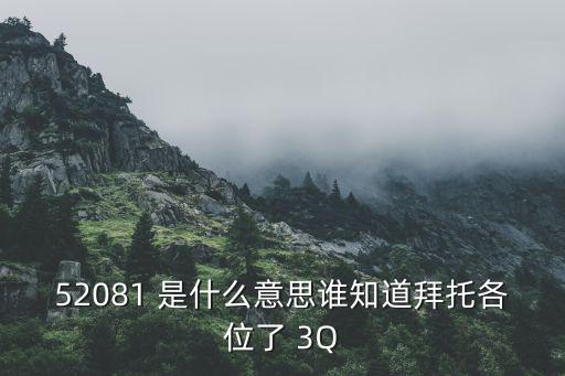 131801是什么，52081 是什么意思誰知道拜托各位了 3Q
