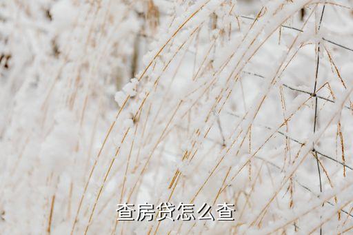 查房貸怎么查