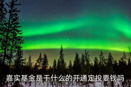 嘉實(shí)基金是干什么的開(kāi)通定投要錢(qián)嗎