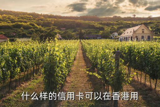 香港能刷什么信用卡嗎，香港用什么信用卡