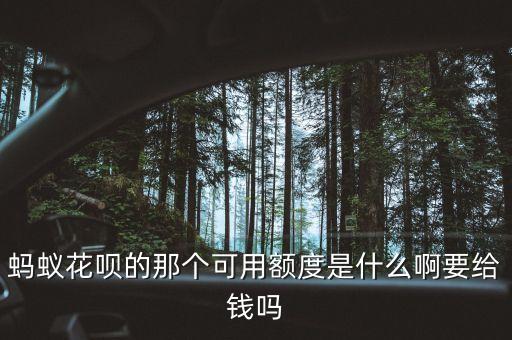 螞蟻可用額度是什么，螞蟻花唄可用額度是什么意思