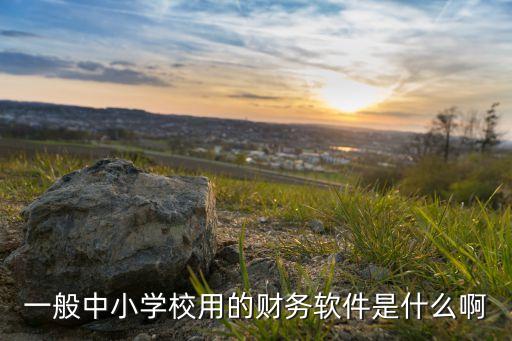 孩子用的理財軟件是什么意思啊，理財app啥意思咋操作