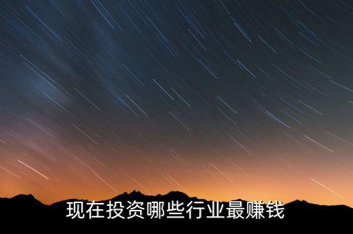 現(xiàn)在投資哪些行業(yè)最賺錢