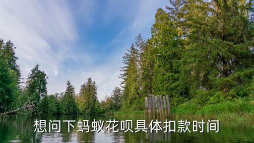 想問(wèn)下螞蟻花唄具體扣款時(shí)間