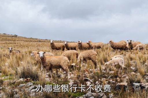辦哪些銀行卡不收費