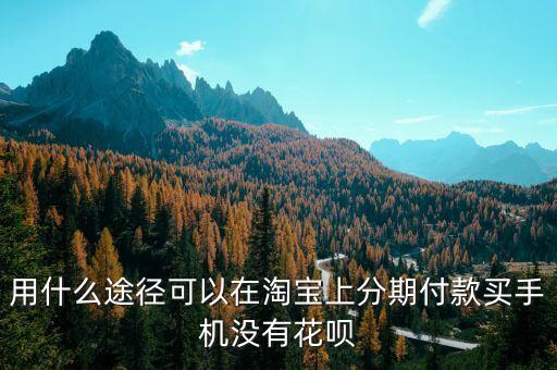 用什么途徑可以在淘寶上分期付款買(mǎi)手機(jī)沒(méi)有花唄