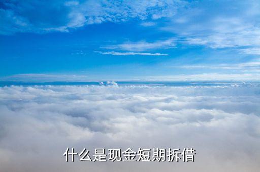 什么是現(xiàn)金短期拆借