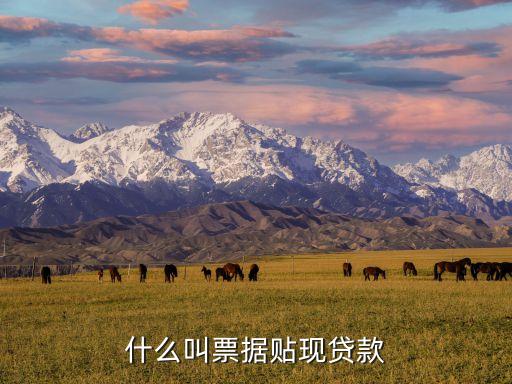 什么叫票據(jù)貼現(xiàn)貸款