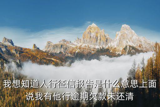 佛山征信報(bào)告是什么意思，征信報(bào)告是什么