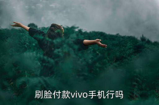 刷臉貸款什么手機(jī)支持，和蘋(píng)果X一樣支持臉部掃描支付的國(guó)產(chǎn)手機(jī)嗎