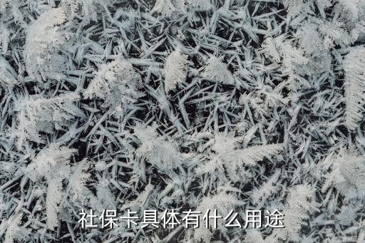 社保卡具體有什么用途