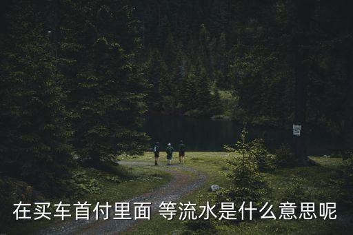 買車銀行流水什么意思，在買車首付里面 等流水是什么意思呢