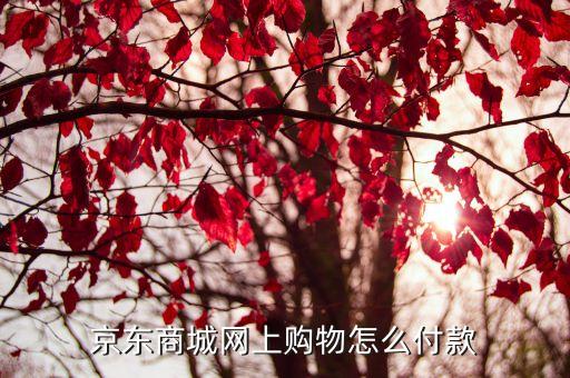 京東商城網(wǎng)上購物怎么付款