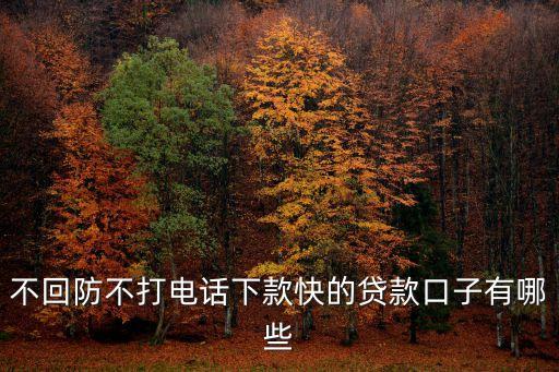 不回防不打電話下款快的貸款口子有哪些