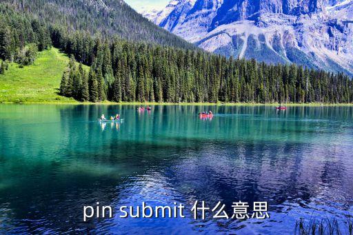 pin submit 什么意思