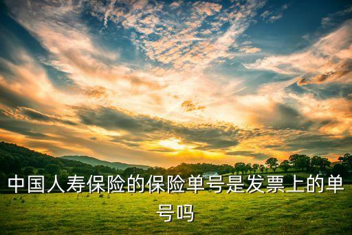 人壽保單號是什么，人保保單的保單號的含義是什么