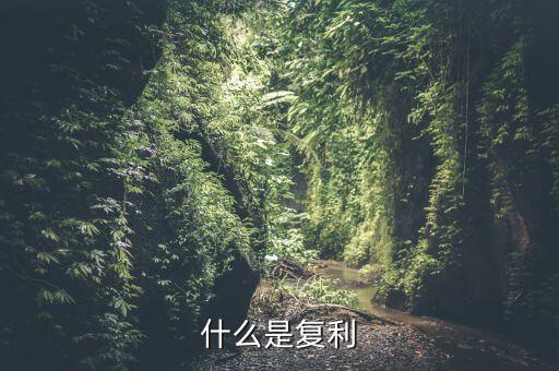 什么是復(fù)利