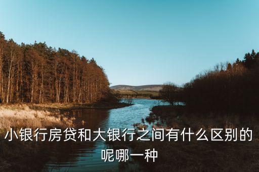 小銀行房貸有什么區(qū)別，找大銀行貸款與小銀行貸款有何不同