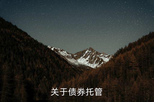 為什么要債券托管，關(guān)于債券托管