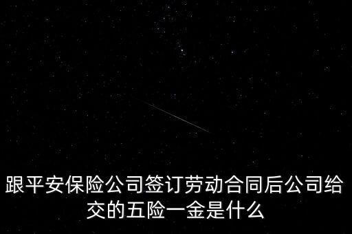 跟平安保險(xiǎn)公司簽訂勞動(dòng)合同后公司給交的五險(xiǎn)一金是什么