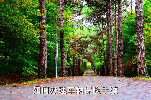 車子辦保險要帶什么手續(xù)，如何辦理車輛保險手續(xù)