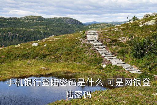 手機(jī)銀行登陸密碼是什么 可是網(wǎng)銀登陸密碼
