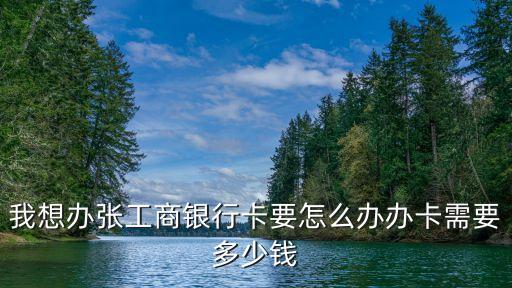 辦理工商卡怎么辦理需要什么，辦理工商銀行卡需要什么