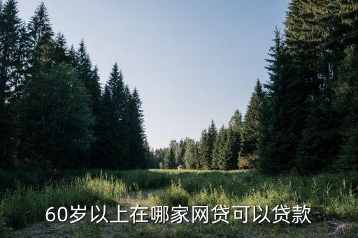56歲能做什么網(wǎng)貸，60歲以上在哪家網(wǎng)貸可以貸款