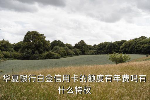 華夏白金卡有什么權(quán)益，華夏ic白金卡有什么好處