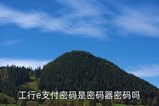 工行短信e支付密碼是什么樣的，工行工銀e支付密碼是什么