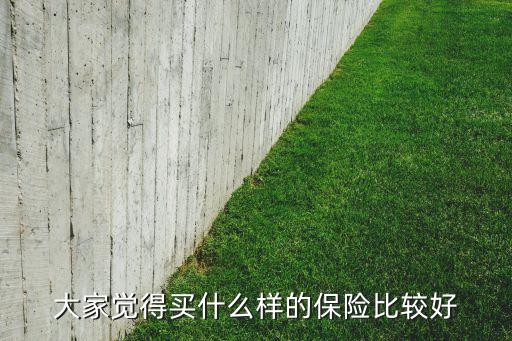 保險什么樣的好，買什么樣的保險好