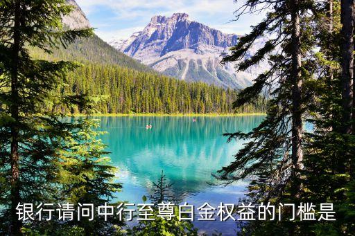 銀行請問中行至尊白金權(quán)益的門檻是