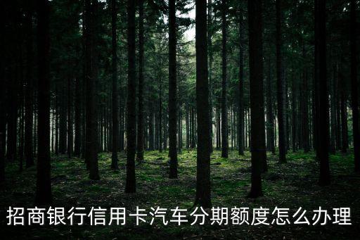 招商銀行信用卡汽車分期額度怎么辦理