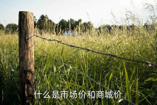 市場(chǎng)價(jià)指的是什么，什么叫市場(chǎng)價(jià)