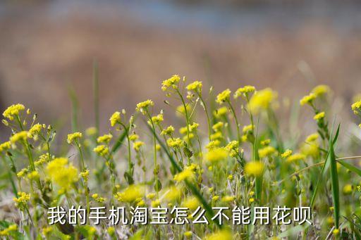 我的手機(jī)淘寶怎么不能用花唄